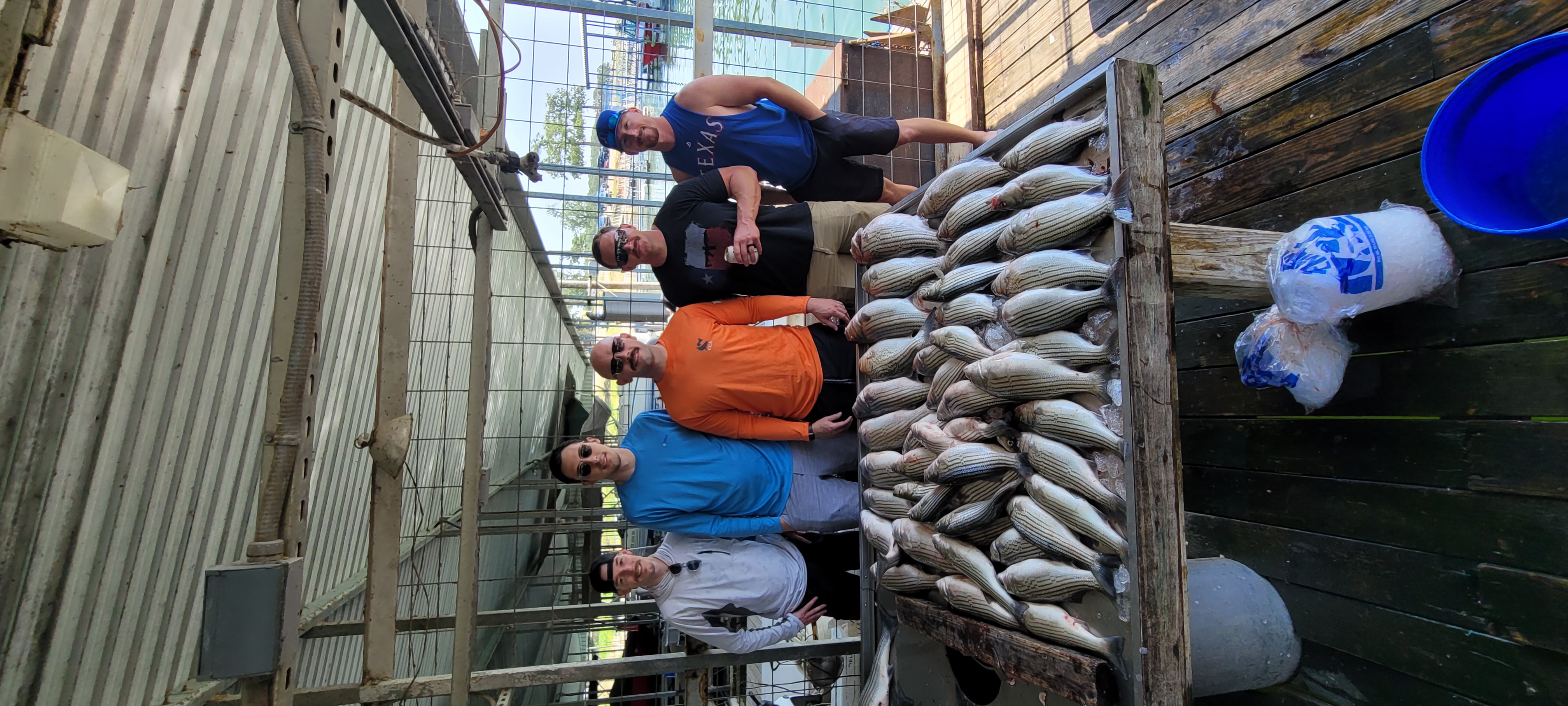 Trip photo — 1000001981