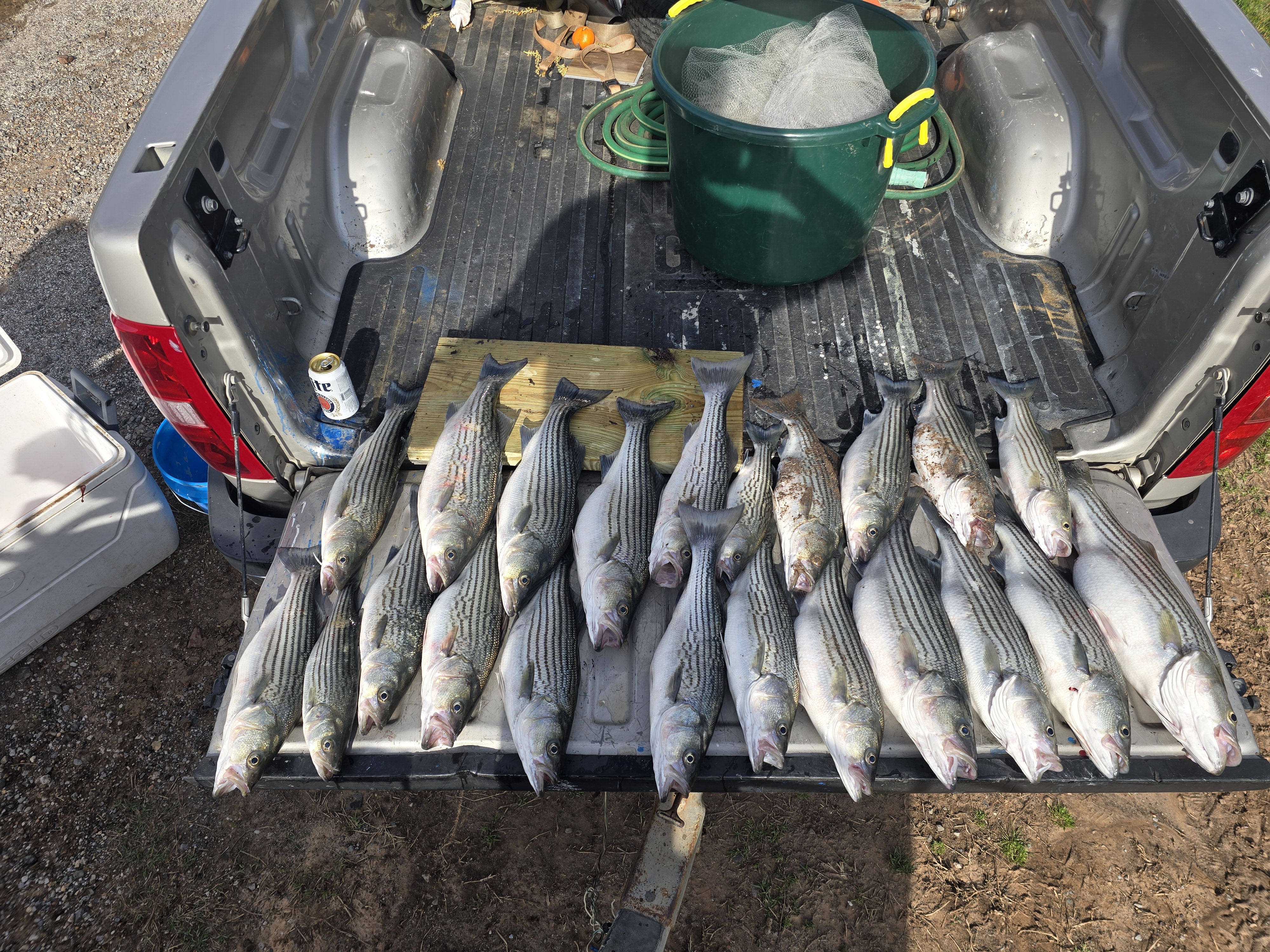 Trip photo — 1000011953